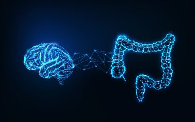 How to understand the brain-gut connection with Dr. Randy Vawdrey