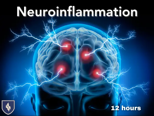 1-Neuroinflammation