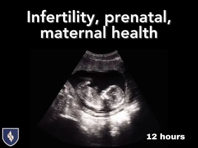 6-Infertility, Prenatal, and Maternal Health
