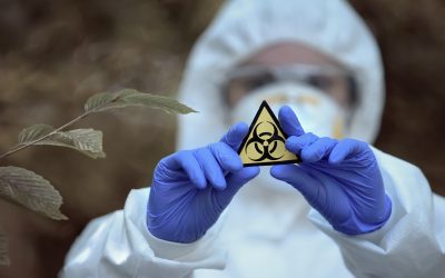 The Hidden Dangers of Environmental Toxins in Everyday Life