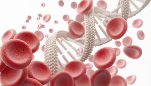 DNA surrounded by red blood cells