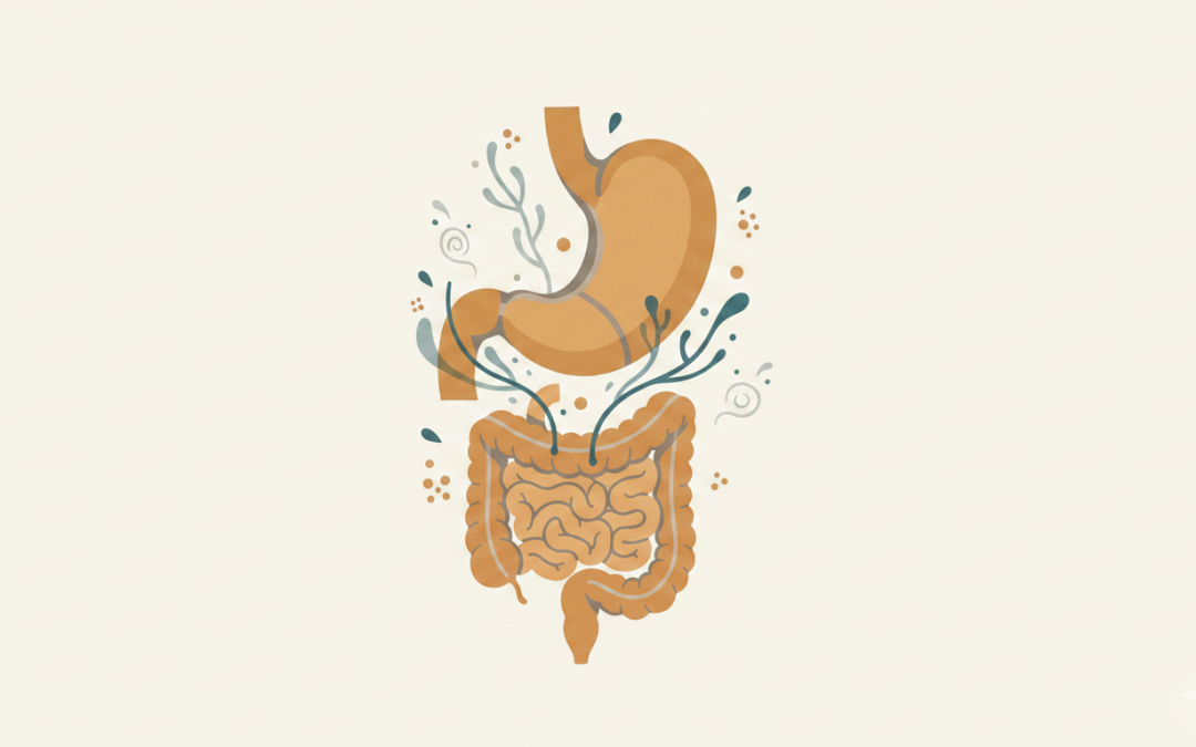 SIBO and Malabsorption: Beyond Traditional Protocols
