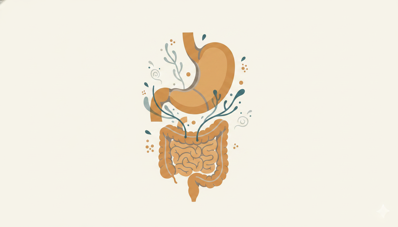 SIBO and Malabsorption: Beyond Traditional Protocols
