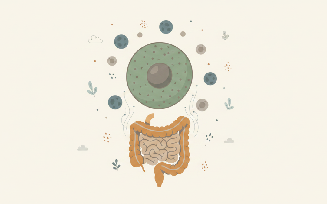 Functional Medicine Autoimmune Triggers: Clinical Assessment