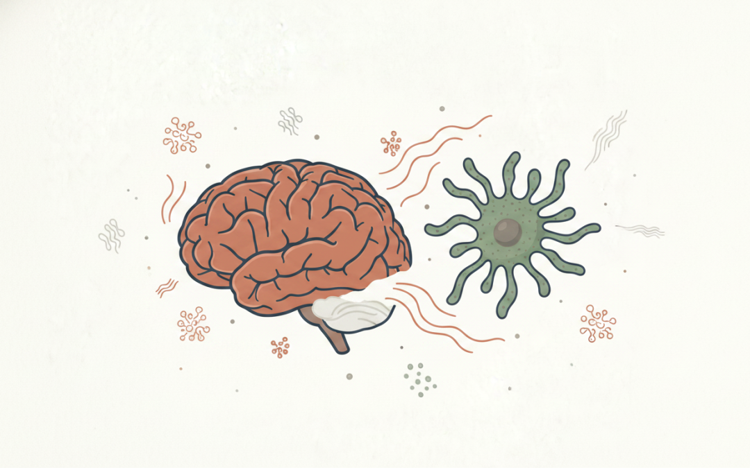 Beyond Gut-Brain: Complex Neuroinflammation Assessment