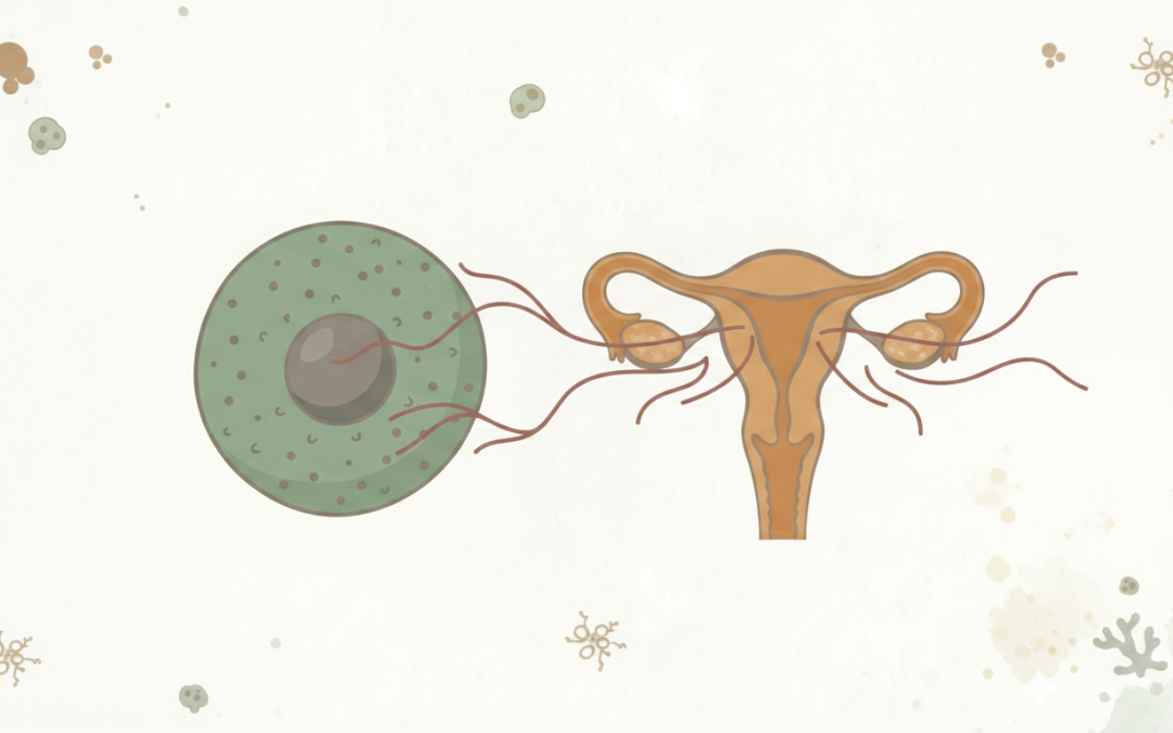 Autoimmune Infertility Connection: Hidden Causes Practitioners Miss