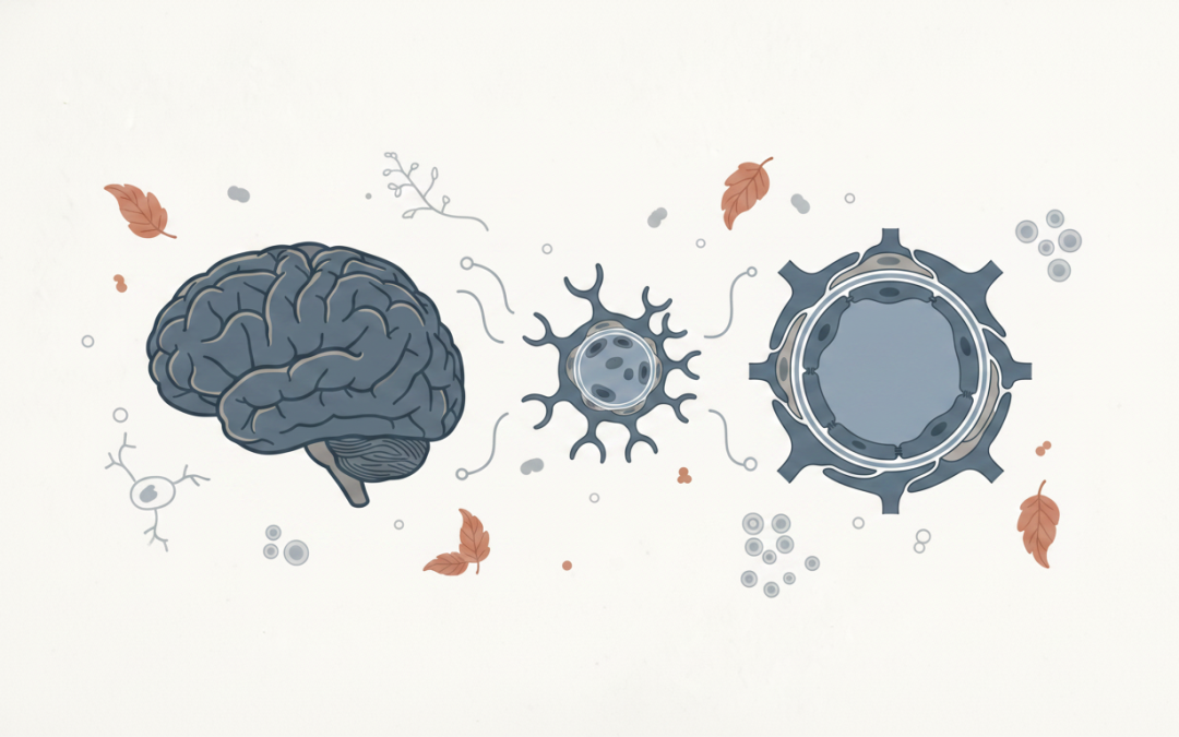 Beyond Alzheimer’s: Hidden Causes of Cognitive Decline