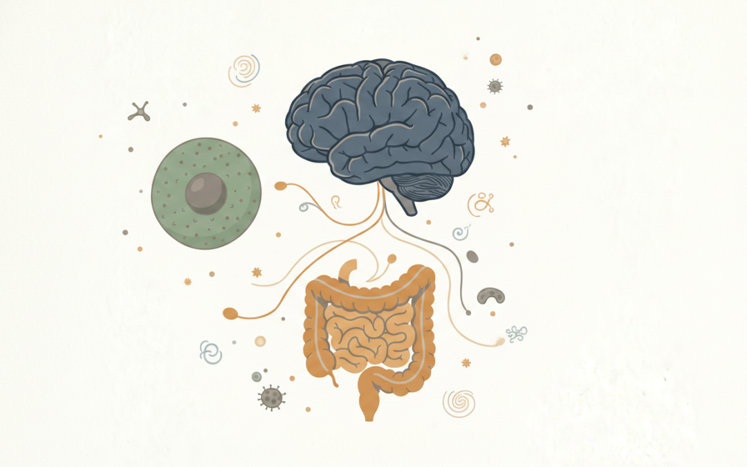Neuroimmunology in Childhood Developmental Disorders