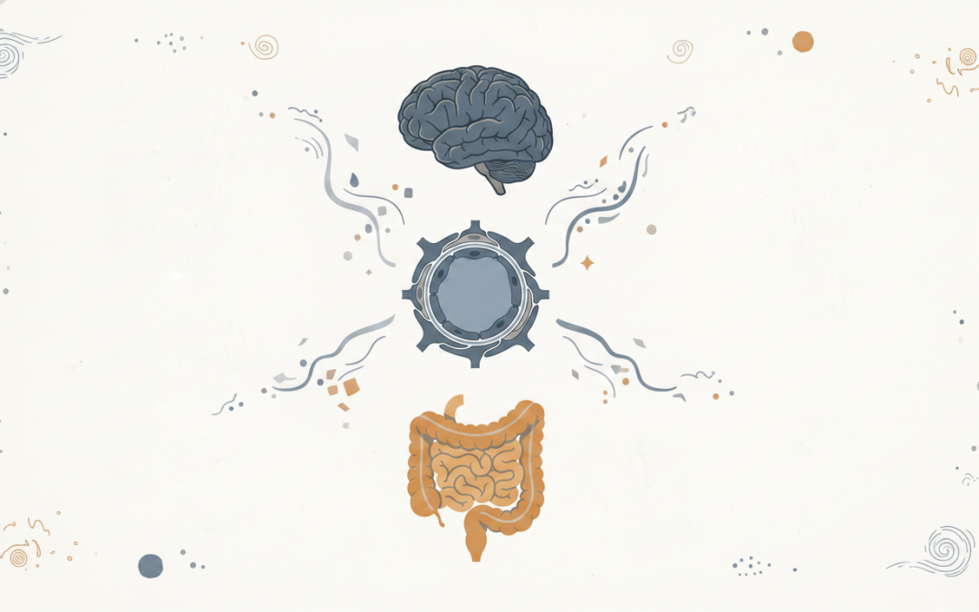 Beyond Serotonin: Functional Medicine Approach to Mood Disorders