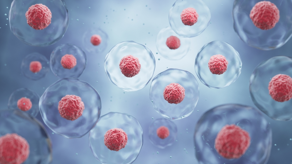 Mitochondrial Function Testing for Longevity Optimization
