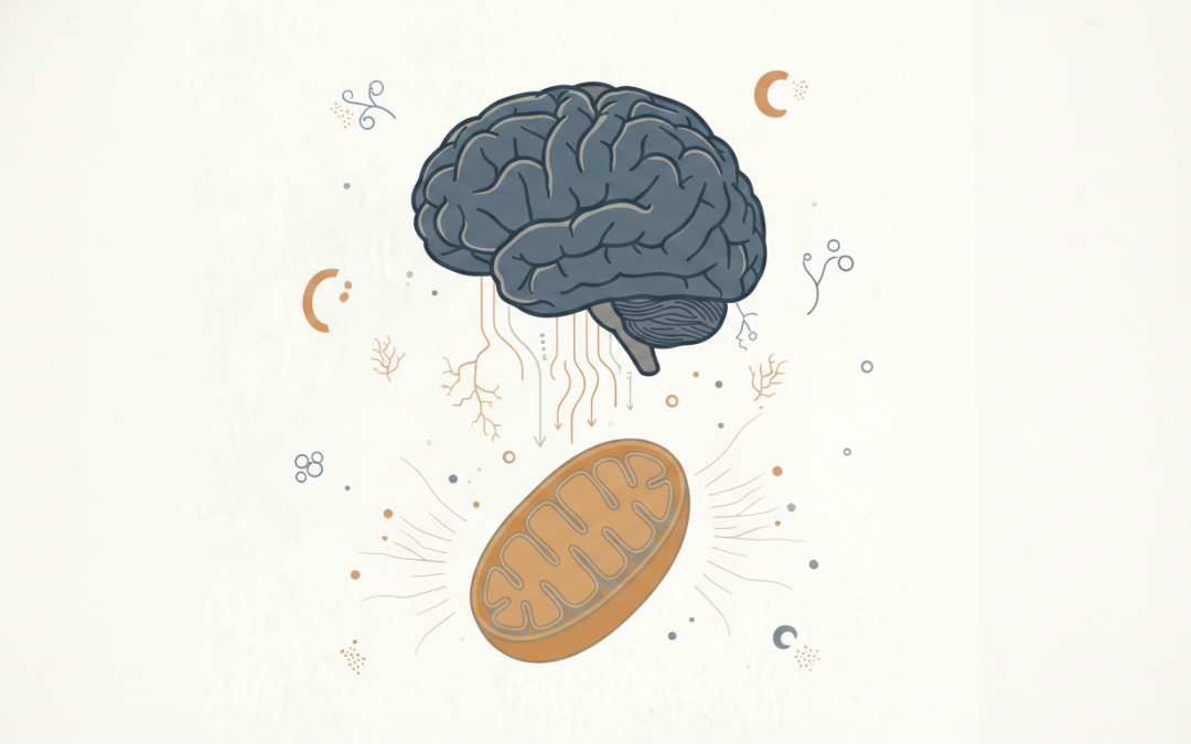 Functional Hypoxia: Hidden Driver of Cognitive Decline
