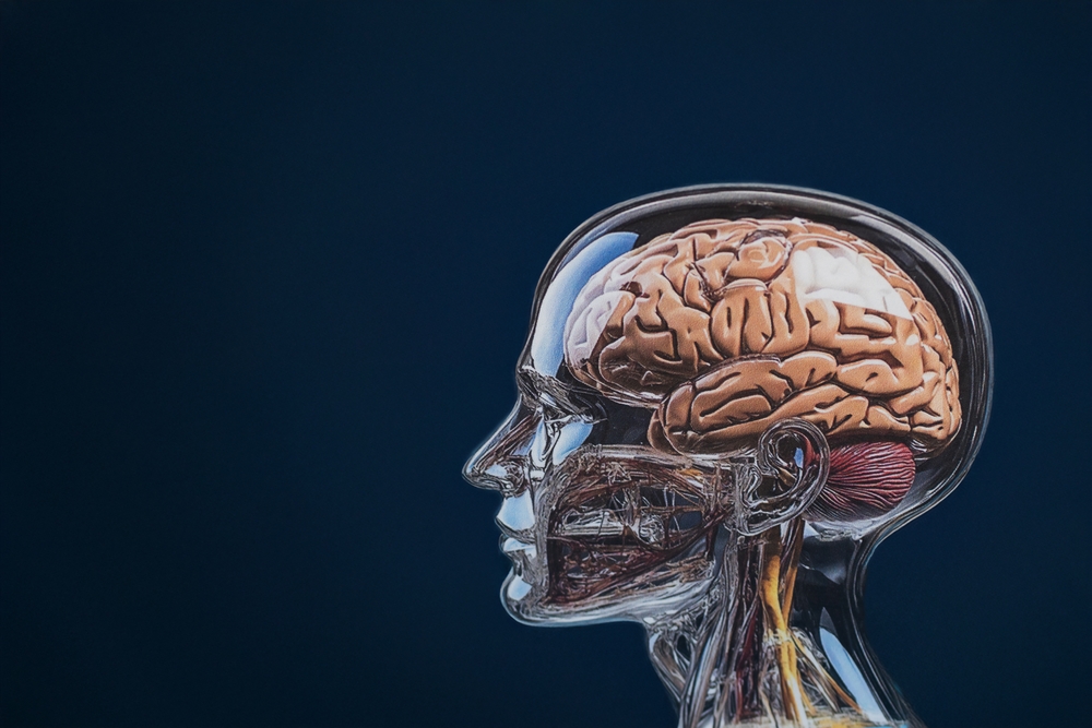 Kharrazian Institute vs. Institute for Functional Medicine (IFM): How the Two Programs Compare