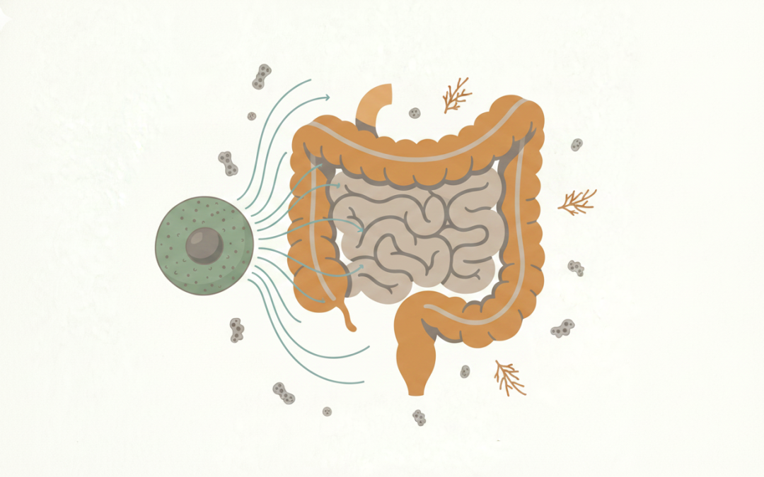 Identifying the Primary Driver: Neurogenic vs. Metabolic