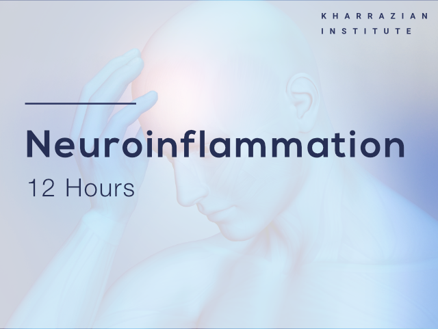 Neuroinflammation 12-hour functional medicine course from the Kharrazian Institute
