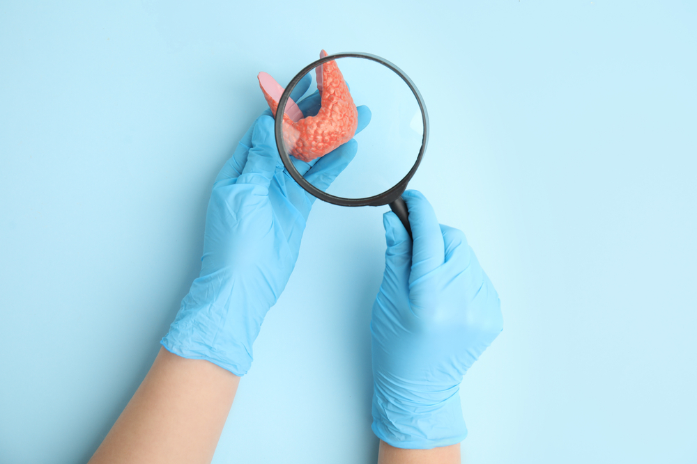 Primary Hypothyroidism vs. Pituitary Fatigue: Reading the Blood Chemistry
