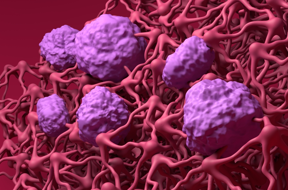 The Kharrazian Method: Blood-Brain Barrier as a Primary Clinical Target