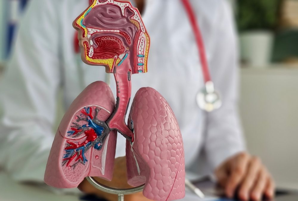 Maintaining Standard of Care While Using Emerging Functional Medicine Research