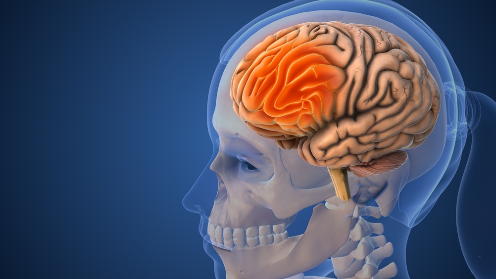 Order of Intervention: Managing SIBO and Neuroinflammation Together
